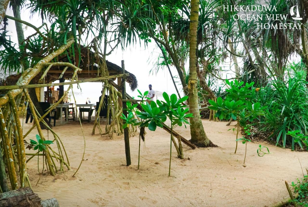 Hikkaduwa Ocean View Homestay Экстерьер фото
